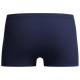 Speedo Παιδικό μαγιό Boys Plastisol Placement Aquashorts